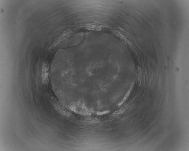 X0000080711154200701051002