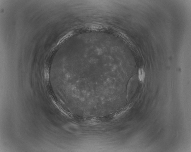 X0000080711155200701051002