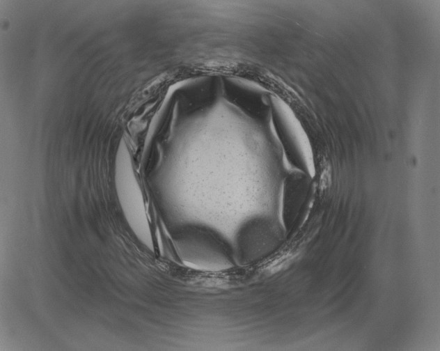 X0000080711156200701051002