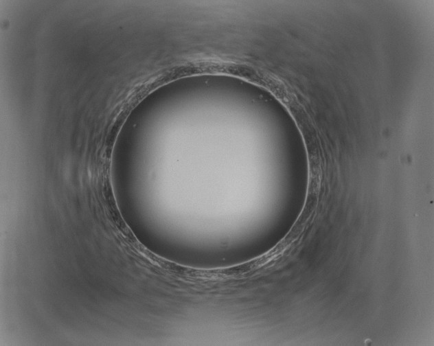 X0000080711157200701051002