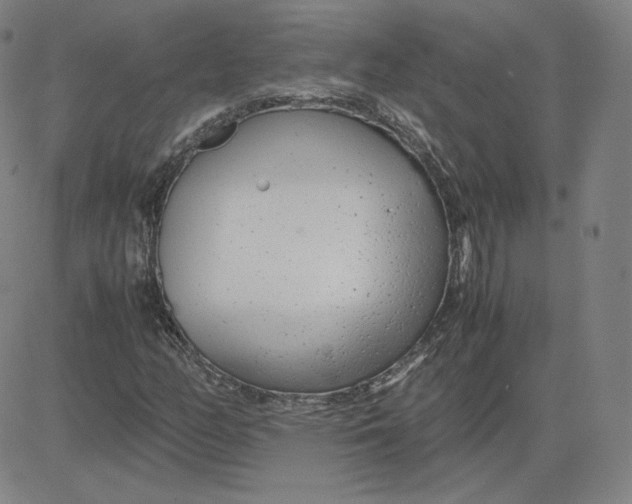 X0000080711158200701051002