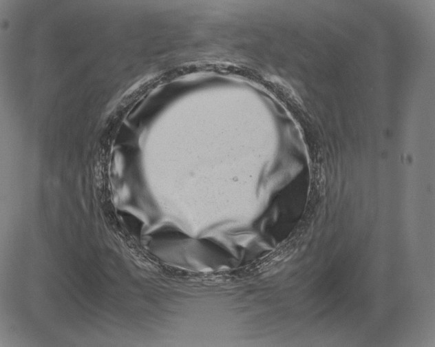 X0000080711159200701051002