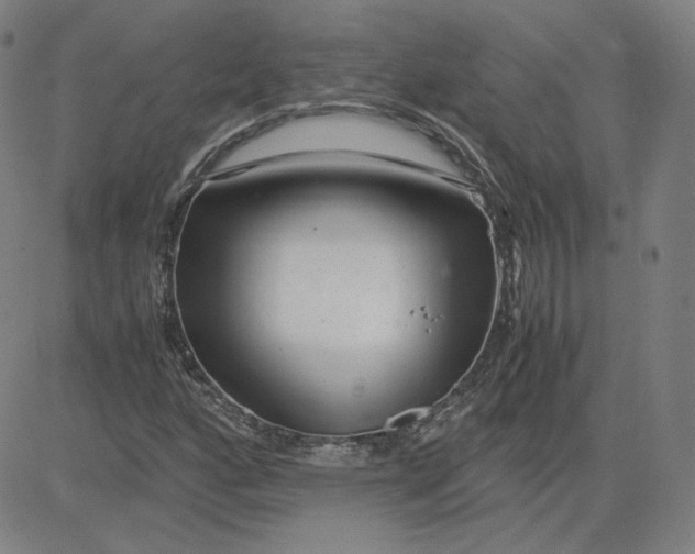 X0000080711160200701051002