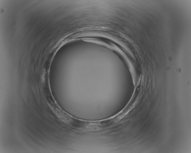 X0000080711161200701051002