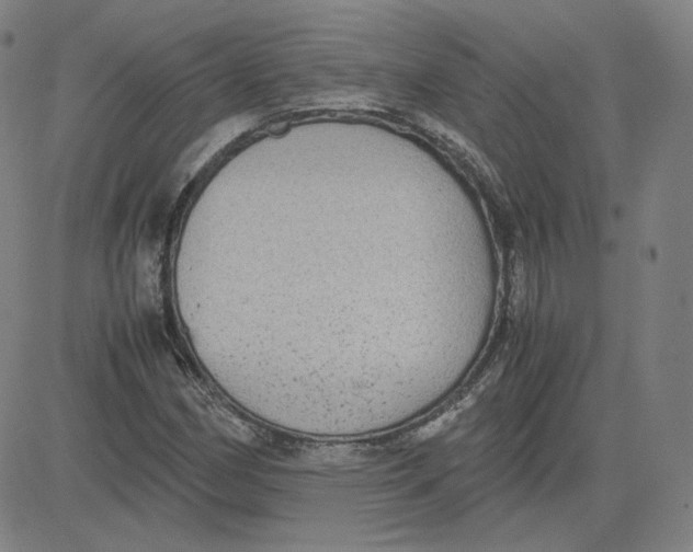 X0000080711162200701051002