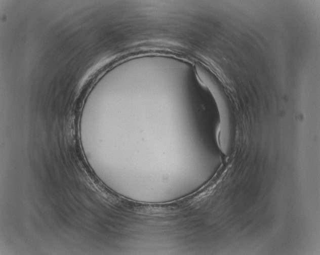 X0000080711164200701051002