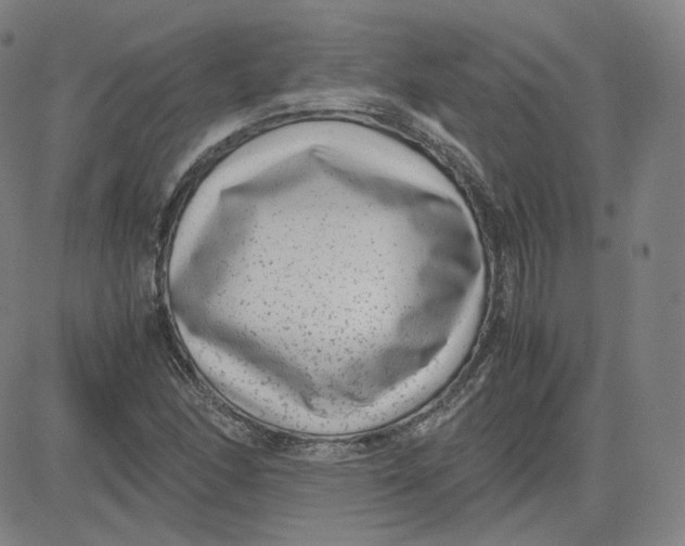 X0000080711166200701051002