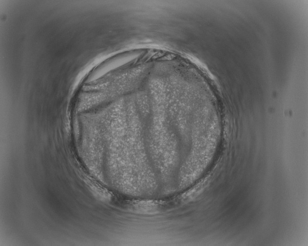 X0000080711167200701051002