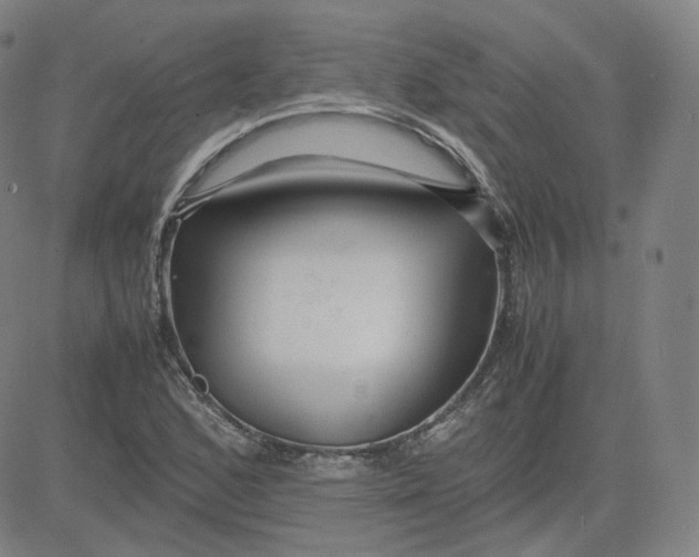 X0000080711168200701051002