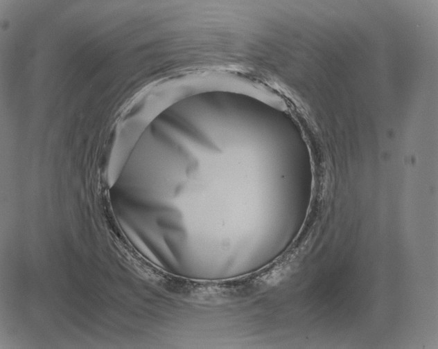 X0000080711169200701051002