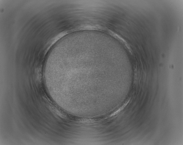 X0000080711170200701051002