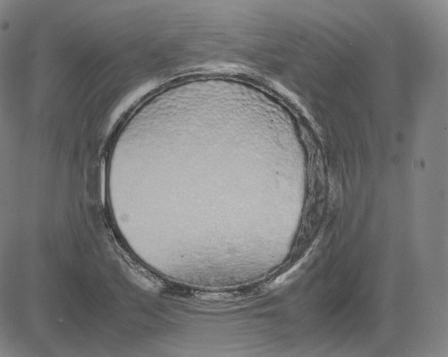 X0000080711171200701051002