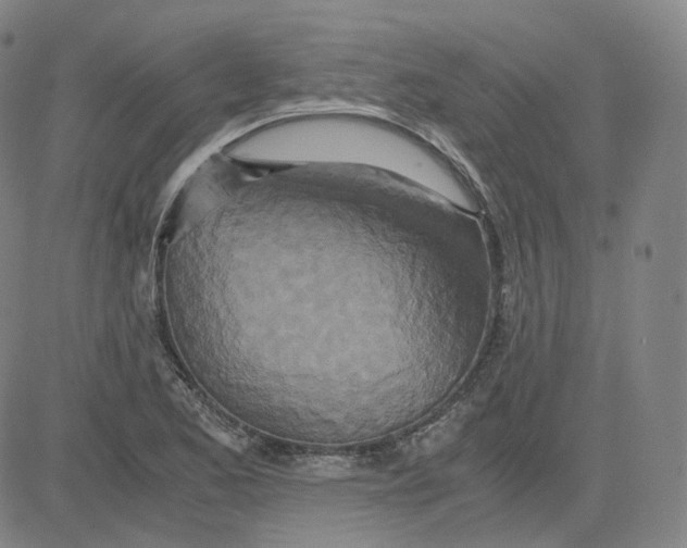 X0000080711173200701051002