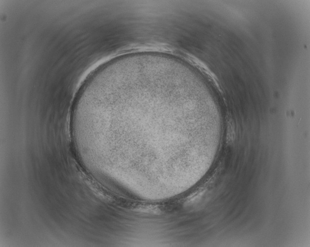 X0000080711174200701051002