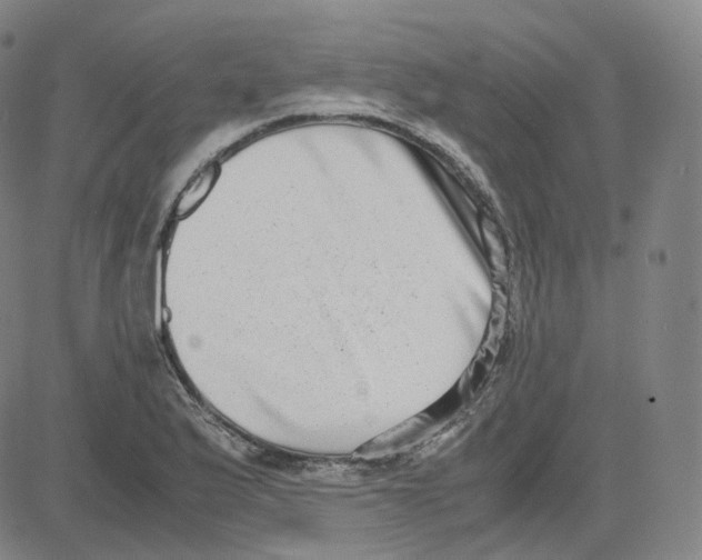 X0000080711175200701051002