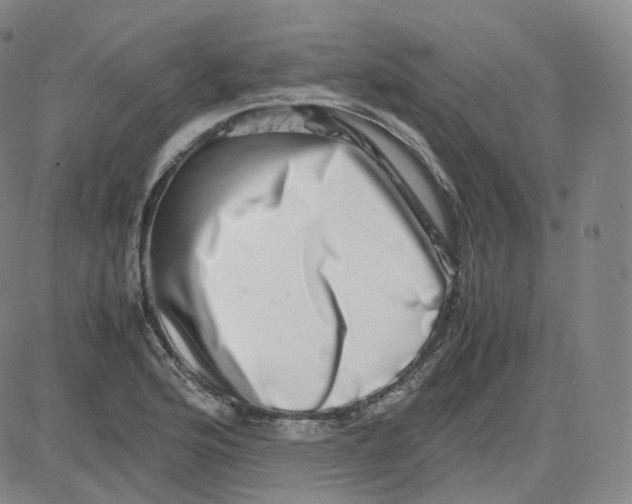 X0000080711176200701051002