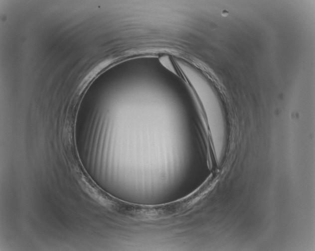 X0000080711177200701051002