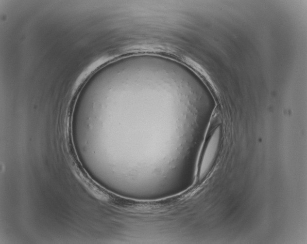 X0000080711179200701051002