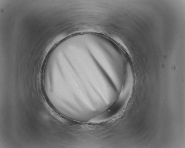 X0000080711181200701051002