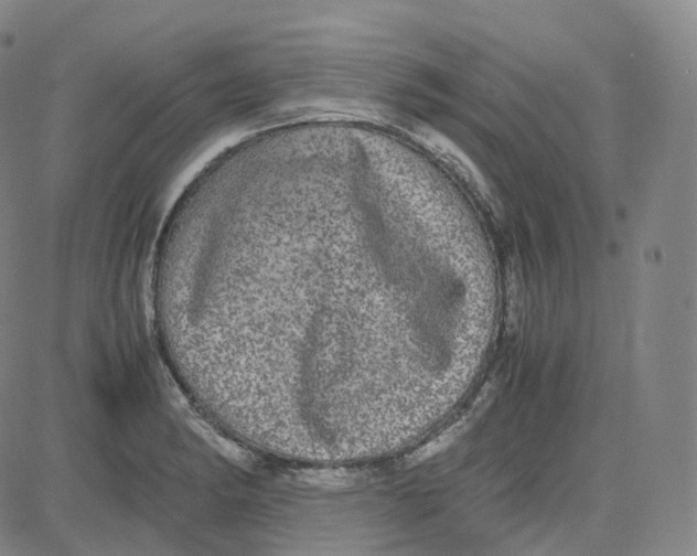 X0000080711182200701051002