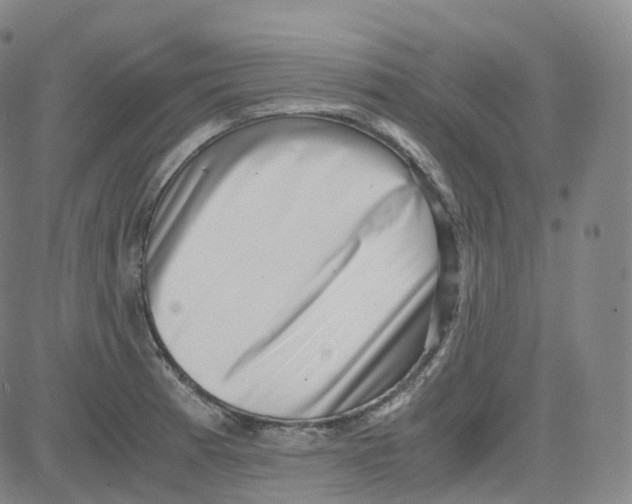 X0000080711185200701051002