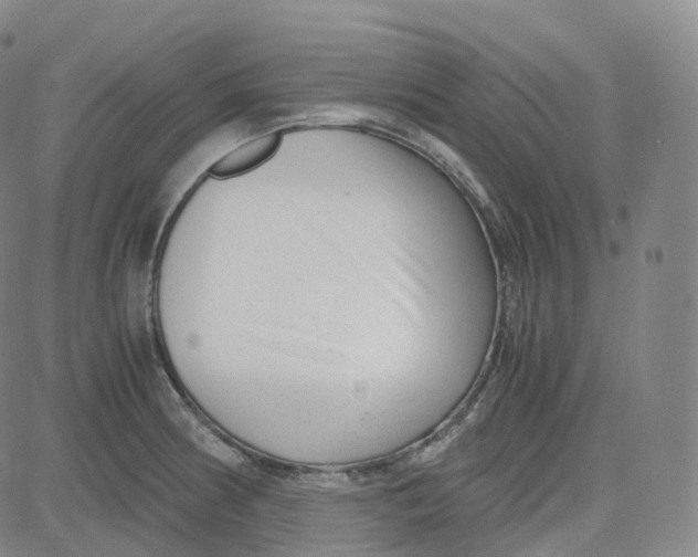 X0000080711186200701051002