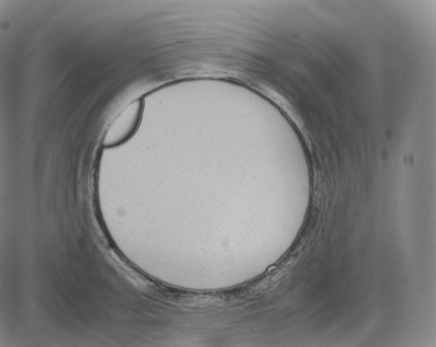 X0000080711187200701051002