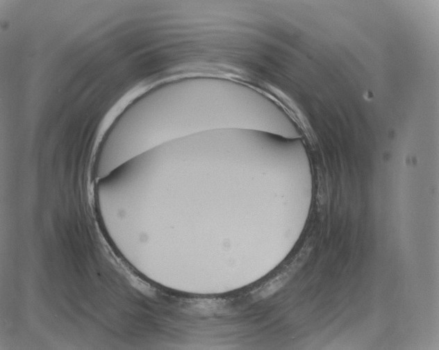 X0000080711188200701051002