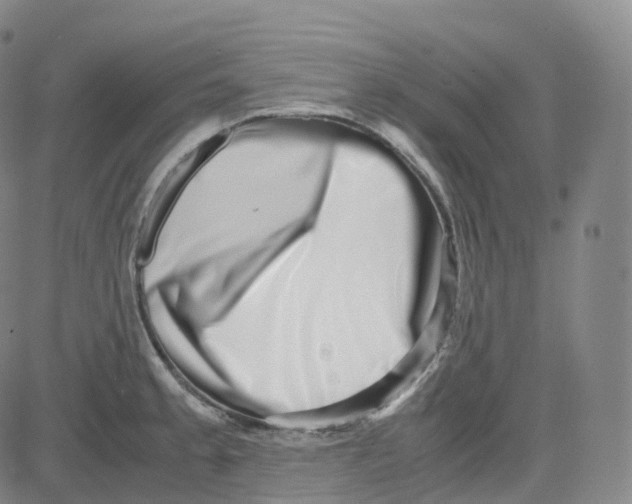 X0000080711189200701051002