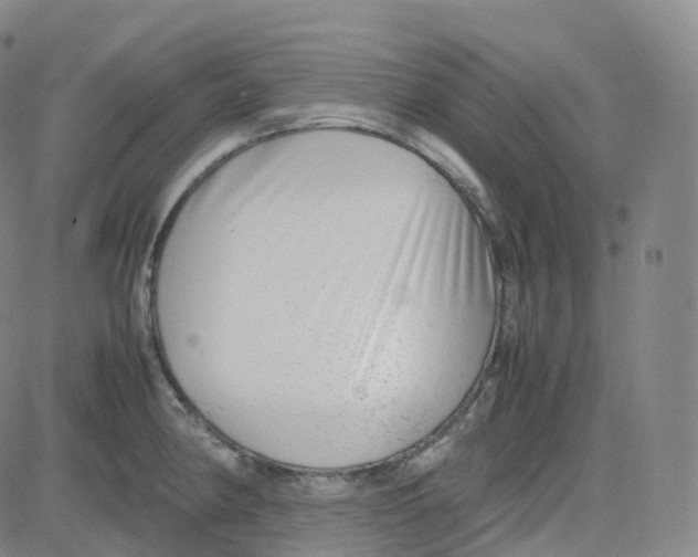 X0000080711190200701051002