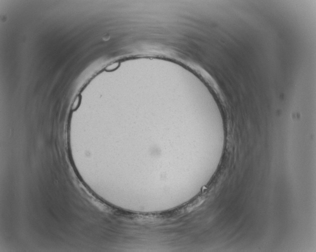 X0000080711191200701051002