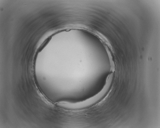 X0000080711192200701051002