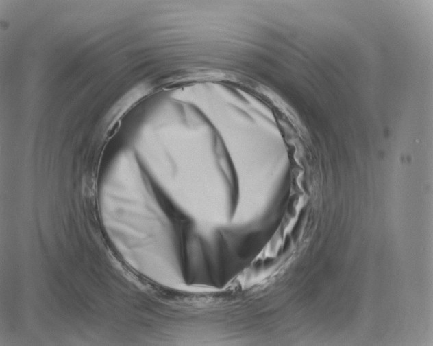 X0000080711193200701051002