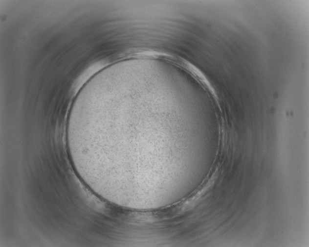 X0000080711194200701051002