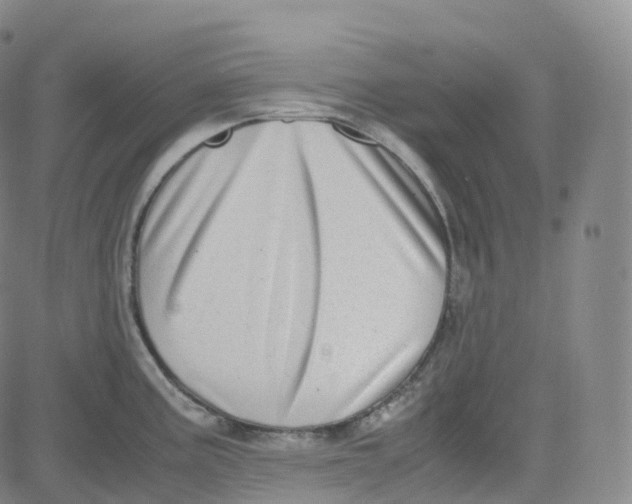 X0000080711195200701051002