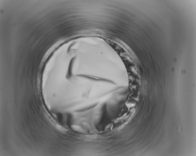 X0000080711196200701051002