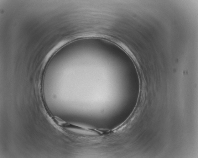 X0000080711197200701051002