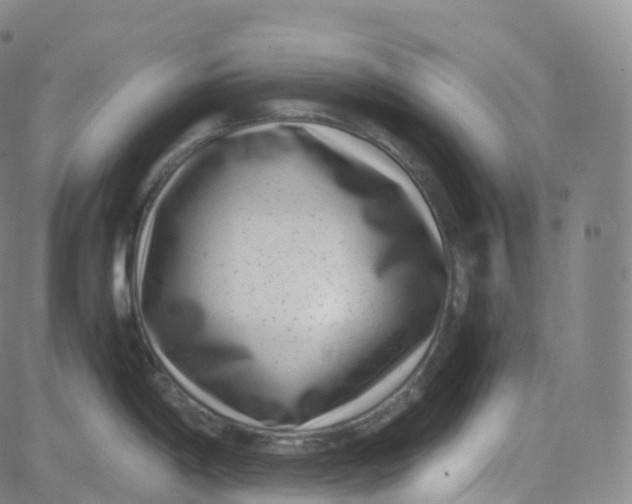 X0000080711198200701051002