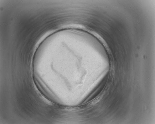 X0000080711199200701051001