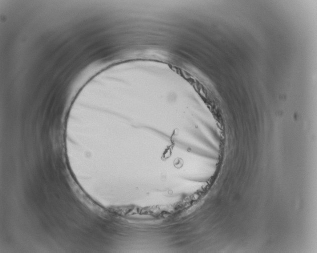 X0000080711200200701051001