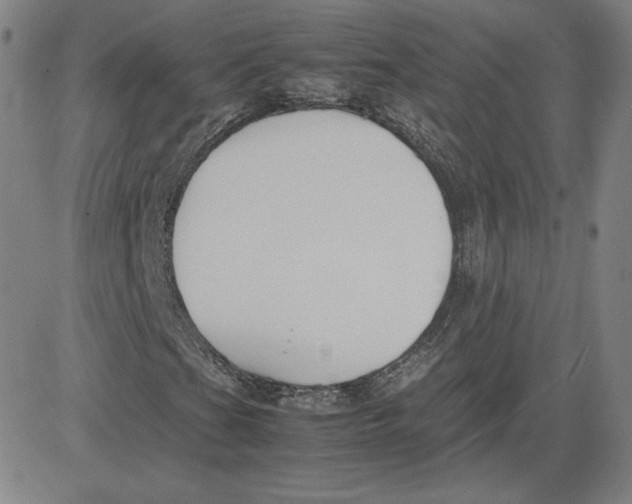 X0000080711201200701051001