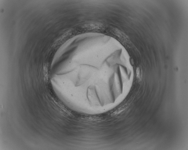 X0000080711203200701051001