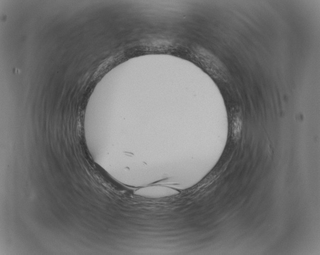 X0000080711204200701051001