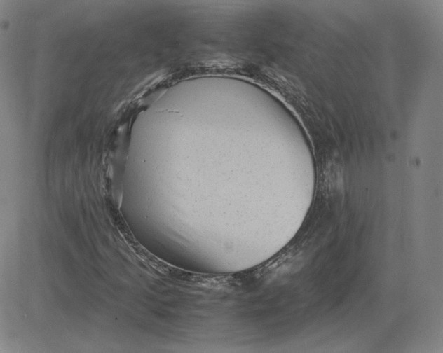 X0000080711205200701051001