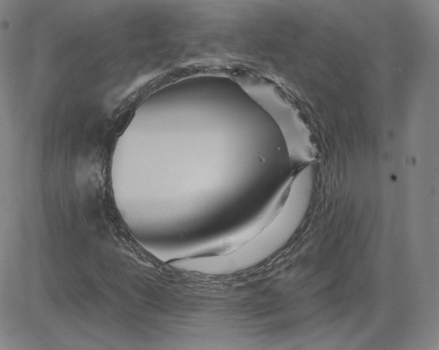 X0000080711206200701051001