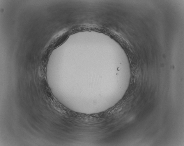 X0000080711207200701051001