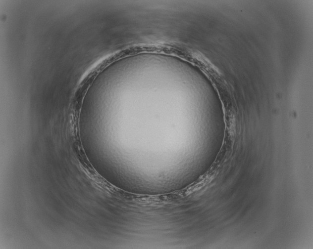 X0000080711208200701051001