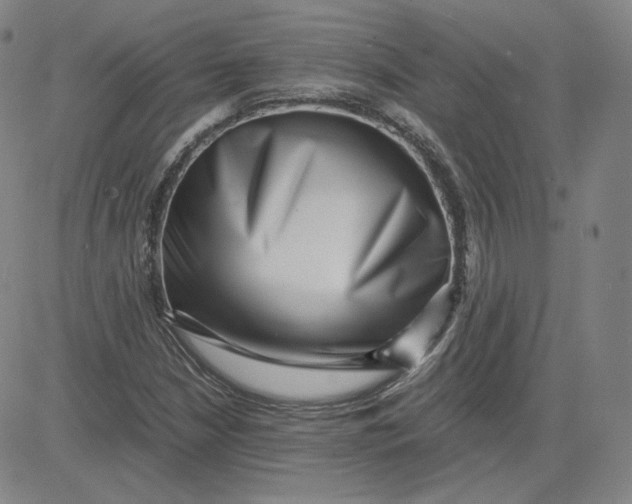 X0000080711210200701051001