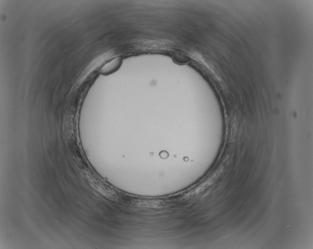 X0000080711211200701051001