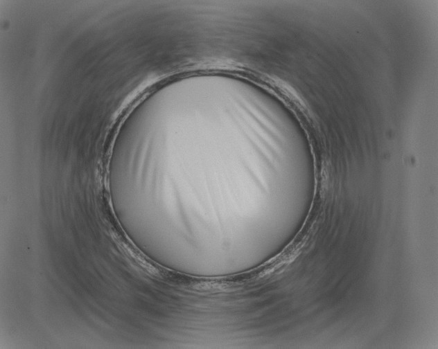 X0000080711212200701051001